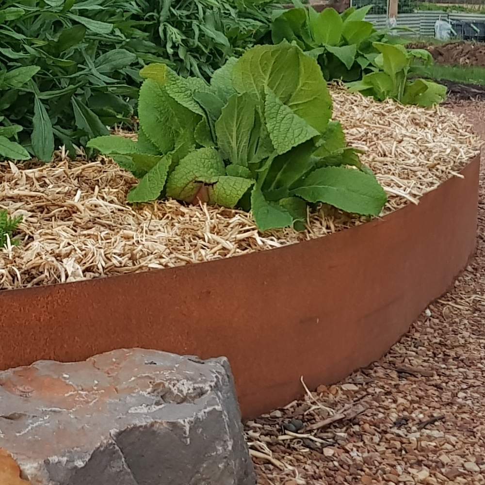 Corten steel garden edging: image 5